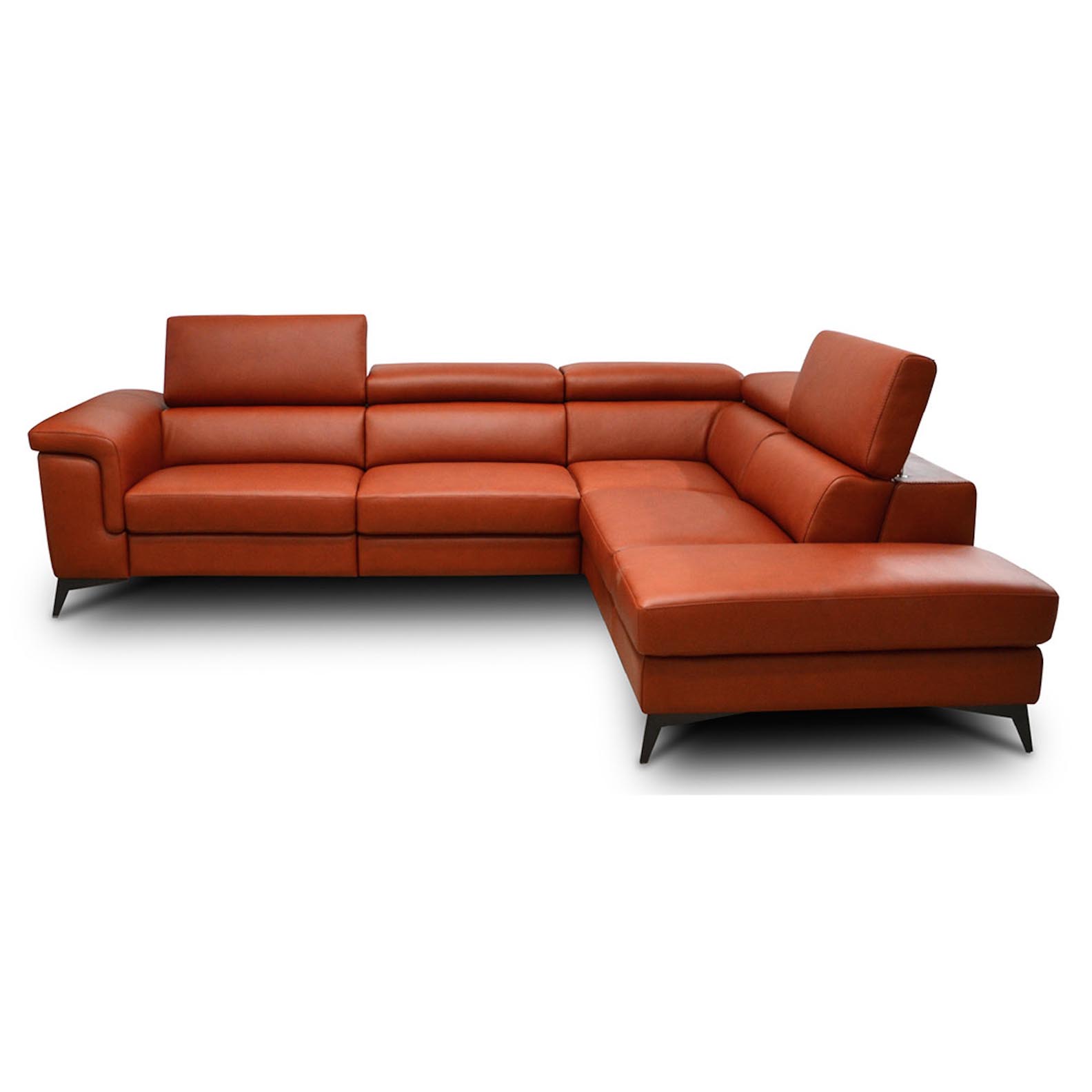 Alfa Leather Sectional with Power Recliners