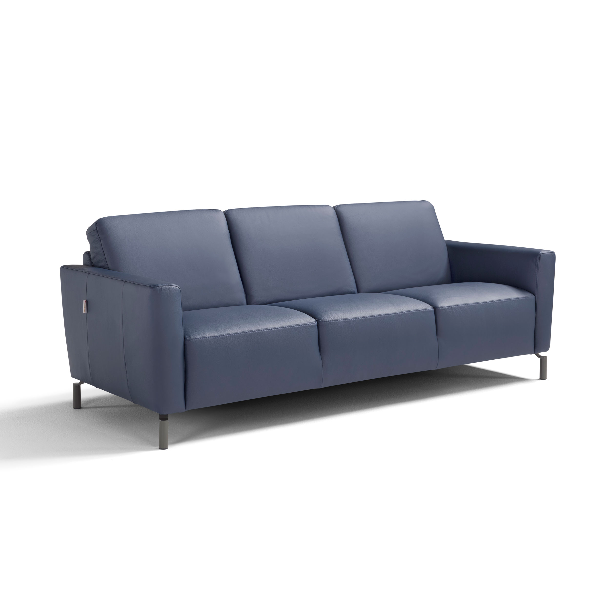 Caleb Leather Sofa by Max Divani