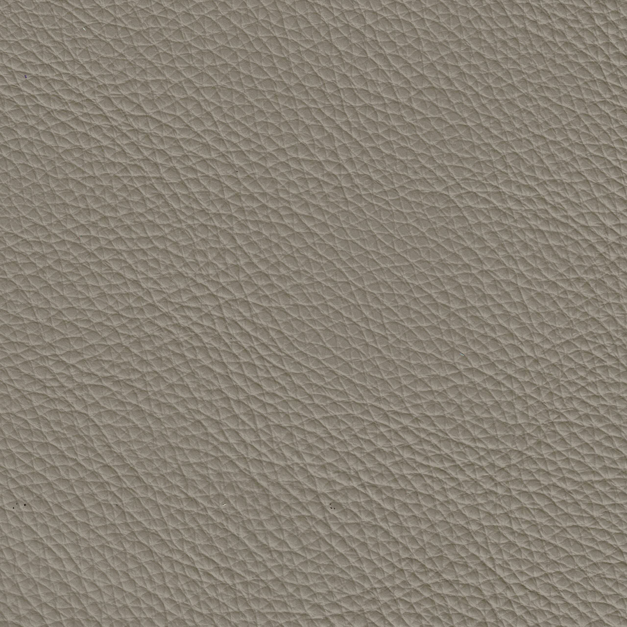 Max Divani Butterfly Taupe Leather