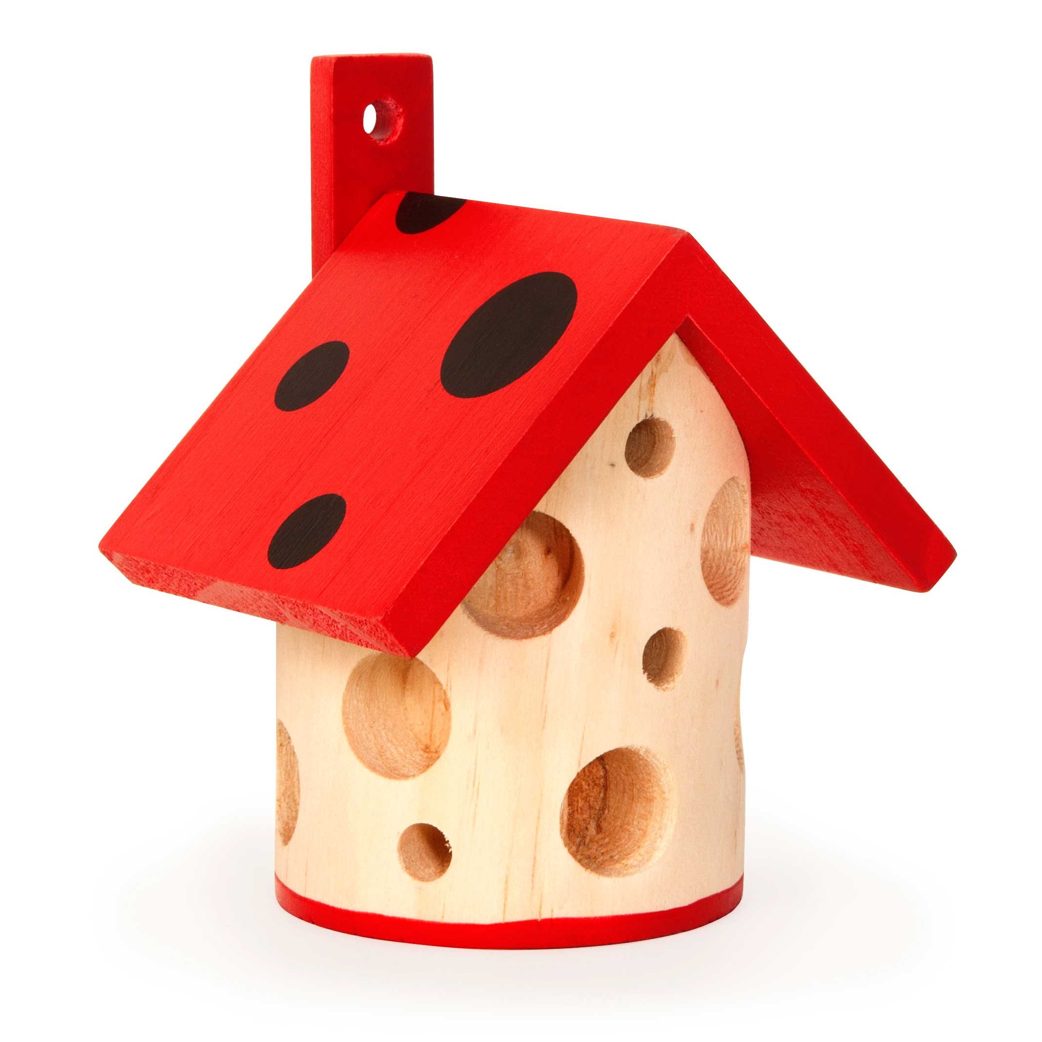 Ladybug_house_for_beetles_CD670