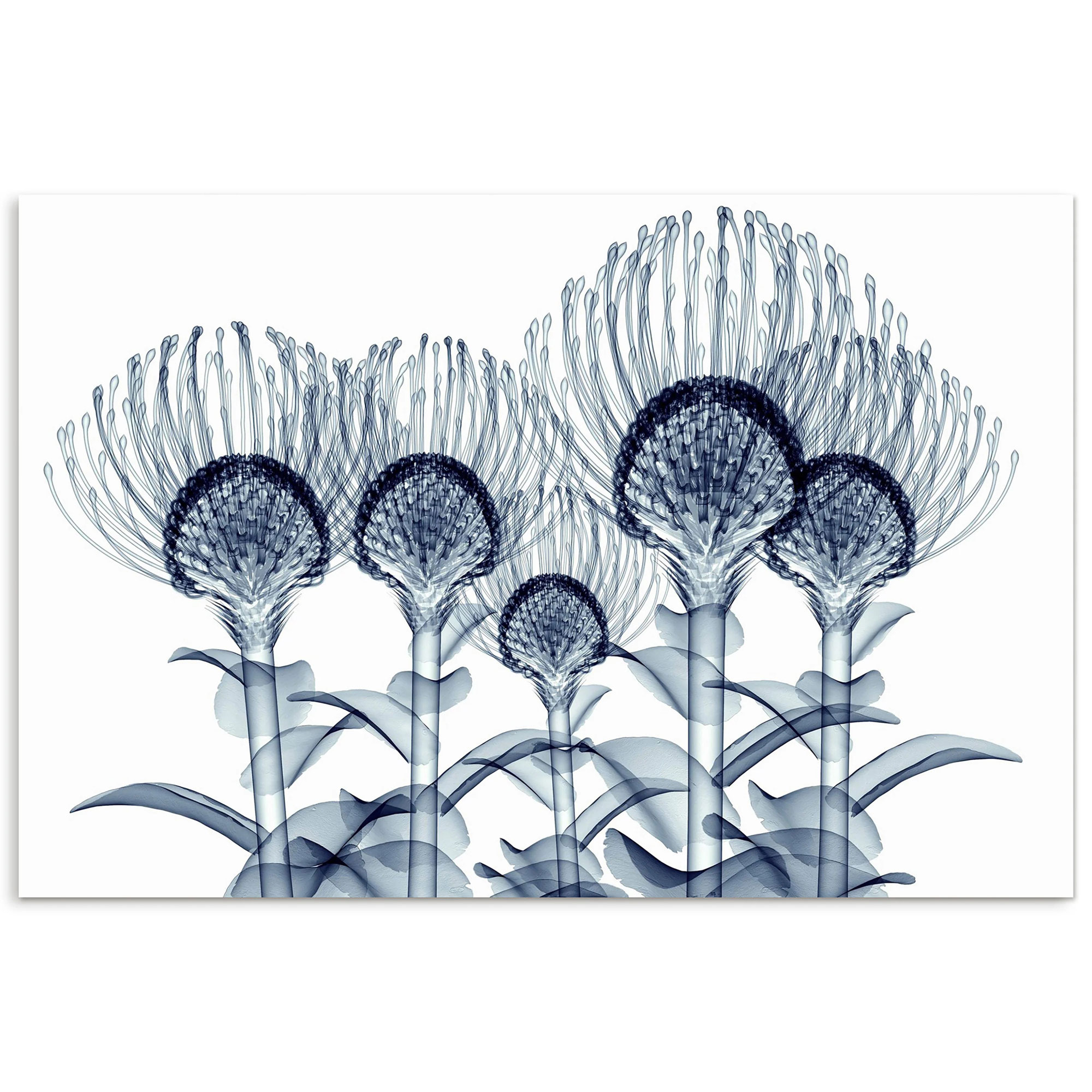 Empire_Art_X-ray_Pincushions_on_Glass_artwork