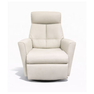 IMG_Comfort_Leather_Recliner_in_Small_Size
