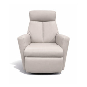 IMG_Comfort_Grey_leather_power_Recliner