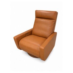 American_Leather_Cumulus_Comfort_Solace_Recliner